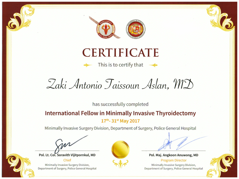 International Fellow in Minimally Invasive Thyroidectomy